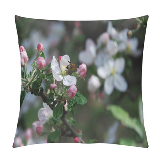 Personality  Bee On The Flowered Apple Tree Pillow Covers