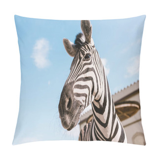 Personality  Low Angle View Of Zebra Muzzle Against Blue Cloudy Sky At Zoo  Pillow Covers