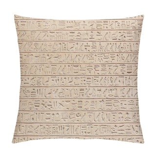 Personality  Egyptian Hieroglyphs On Stone Background Pillow Covers