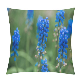 Personality  Selective Focus Of Bright Blue Flowers And Green Leaves Pillow Covers