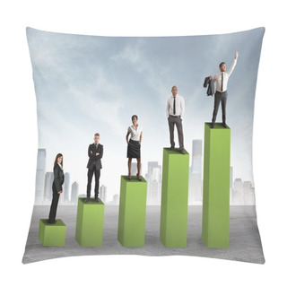 Personality  Teamwork Statistics Pillow Covers