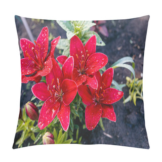 Personality  Red Lilies. Flowers Are Covered With Large Drops Of Water After Rain. Pillow Covers