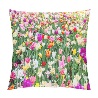 Personality  Macro Of Multi-colored Tulips In Hitachi Seaside Park Pillow Covers