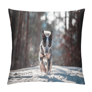 Personality  Running Australian Cattle Dog, On Free Walk In Forest On Snow Pillow Covers