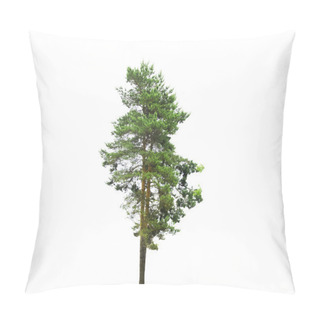 Personality  Colored Silhouette Tree Isolated On White Backgorund. Vector Pillow Covers