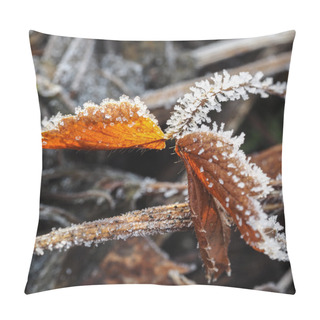 Personality  Frozen Leaf Aof Strawberry Plant Pillow Covers