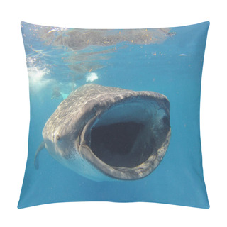 Personality  Whale Shark Caught Very Close To A Few Meters Deep Pillow Covers