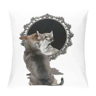 Personality  Chihuahua With Mirror Sitting In Front Of White Background Pillow Covers