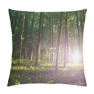 Personality  Misty Old Forest Pillow Covers