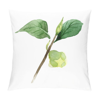 Personality  Camellia Bud With Green Leaves Isolated On White. Watercolor Background Set. Pillow Covers