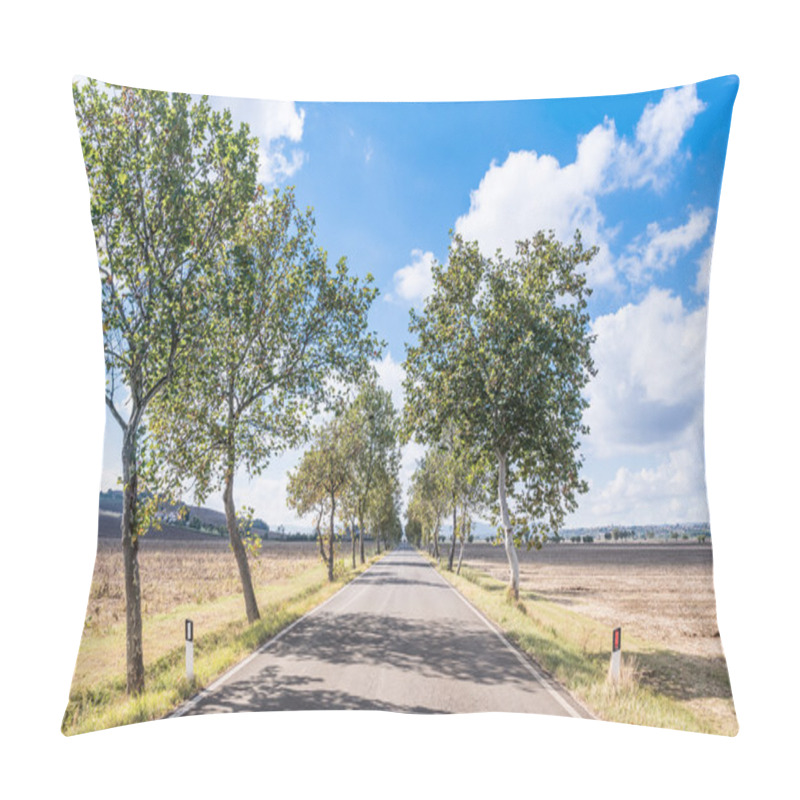 Personality  Paved Road In The Tuscan Countryside Pillow Covers