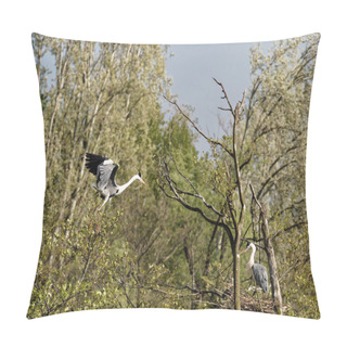 Personality  Heron In Oasi Di Porta Lake In Tuscany Pillow Covers