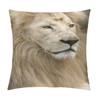 Personality  White Lion Pillow Covers