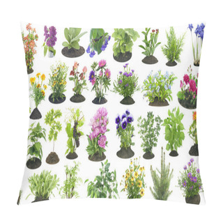 Personality  Garden Plants Grow In Soil Set Pillow Covers