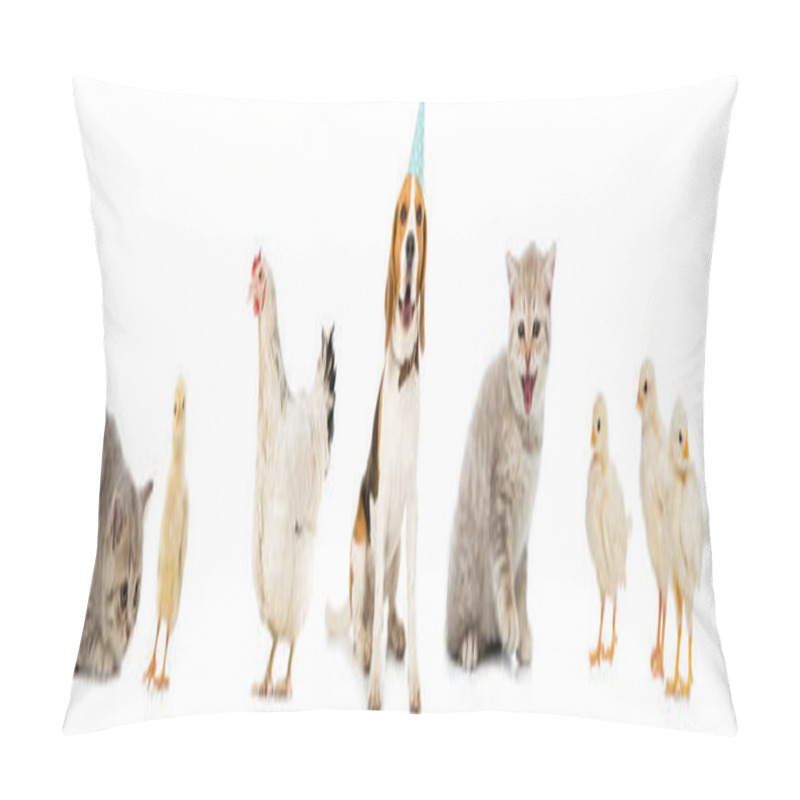 Personality  Collage of dog and cat, chickens and hen isolated on white pillow covers