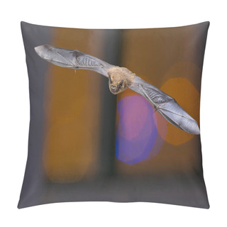 Personality  Pipistrelle Bat On Colorful Background Pillow Covers