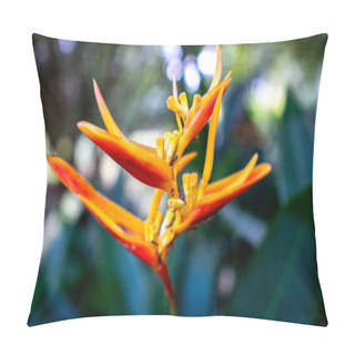 Personality  Balisier Flower With Red Ants, Tropical Flower At Garden Pillow Covers