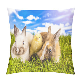 Personality  Easter Chicken And Rabbit In The Spring Time Pillow Covers