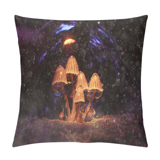 Personality  Small Poisonous Mushrooms Pillow Covers