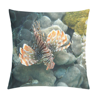 Personality  Red Lionfish Pillow Covers