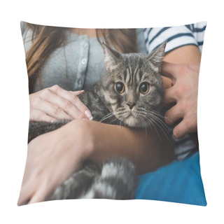 Personality  Cropped Shot Of Couple Petting Cute Tabby Cat Pillow Covers