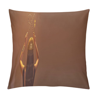 Personality  Back View Of Woman In Egyptian Headdress Holding Crook And Flail On Brown Background, Banner Pillow Covers