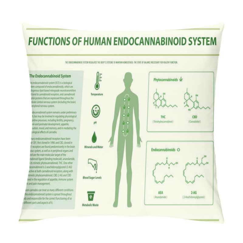 Personality  Functions Of Human Endocananbinoid System Horizontal Infographic Pillow Covers