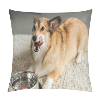 Personality  Cute Corgi Dog With Bowl Of Water Standing On Carpet Pillow Covers