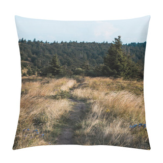 Personality  Green Firs Near Yellow Lawn With Barley And Wildflowers On Hill  Pillow Covers