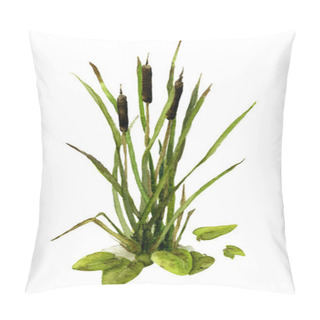 Personality  Picture Of A Riverside Vegetation (reed Mace, Cane, Water Lily) Hand Painted In Watercolor Isolated On The White Background Pillow Covers