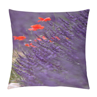 Personality  Purple Flowers, Lavender Filed Pillow Covers