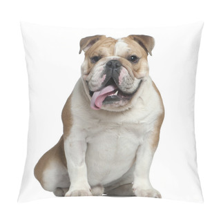 Personality  English Bulldog, 11 Months Old, Lying In Front Of White Background Pillow Covers