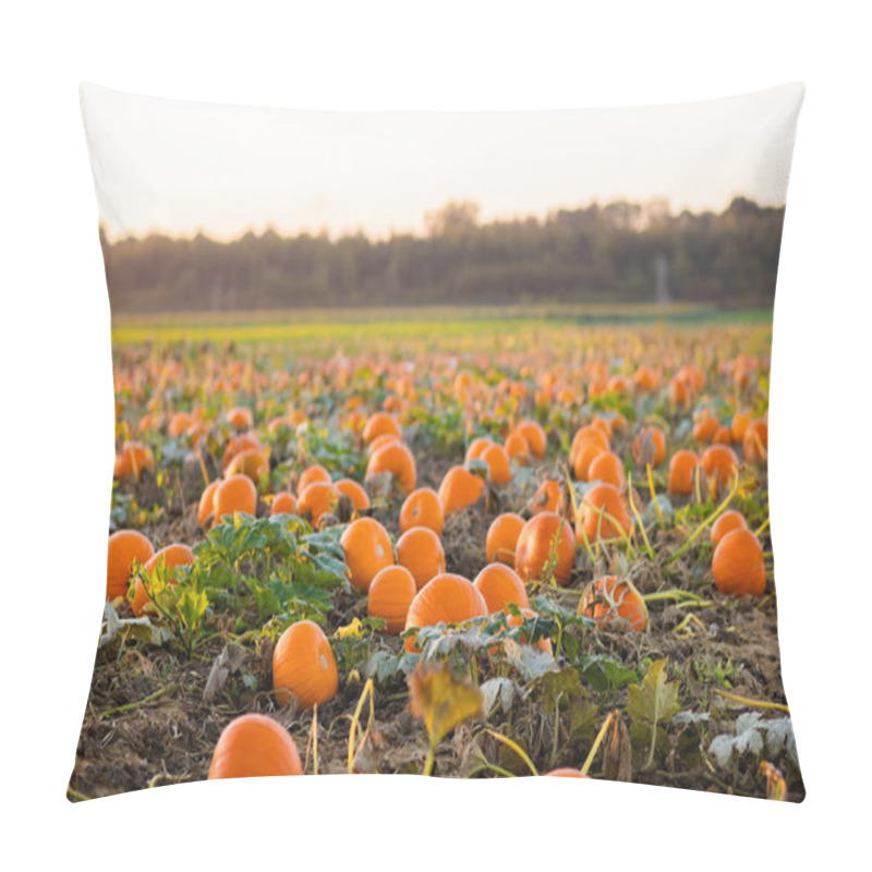 Personality  Pumpkin patch on farm pillow covers