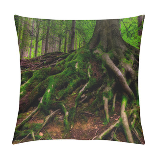 Personality  Surreal Fairy Tale Spooky Fantasy Outdoor Nature Image Of Mystic Gigantic Roots Of An Old Tree, Covered With Moss And Underwood, Mysterious Forest - Fantastic Realism In Nature Pillow Covers