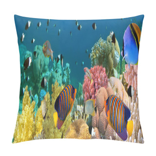 Personality  Underwater Panorama With Angel Fish, Coral Reef And Fishes. Red Pillow Covers