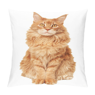 Personality  Red Maine Coon Cat Pillow Covers
