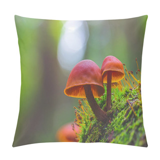 Personality  Wild Enoki Mushrooms - Flammulina Velutipes, Two Mushrooms Growing In The Forest Pillow Covers