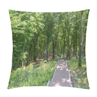 Personality  Scenic View Of Trees In Park With Asphalt Path  Pillow Covers