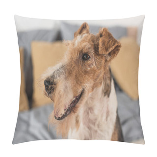 Personality  Close Up Of Purebred Wirehaired Fox Terrier In Bedroom Pillow Covers