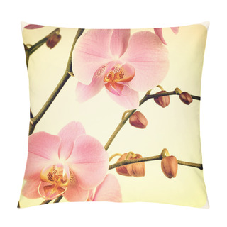 Personality  Orchid Old Photo Pillow Covers