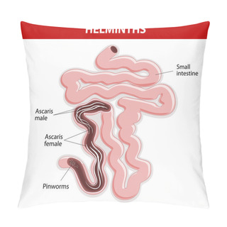 Personality  Helminths On Small Intestine Pillow Covers