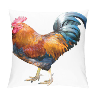 Personality  Magnificent Rooster Pillow Covers