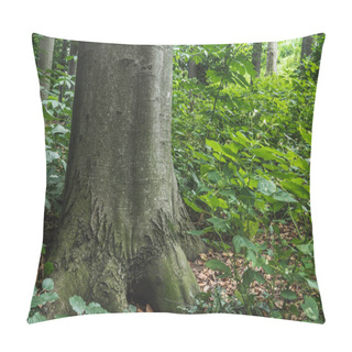 Personality  Close-up Shot Of Massive Tree Trunk Growing In Forest Pillow Covers
