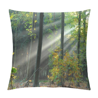 Personality  Beams Of Light Pour Through The Trees Pillow Covers