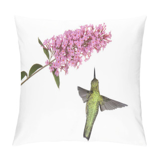 Personality  Hummingbird Floats Under A Butterfly Bush Pillow Covers