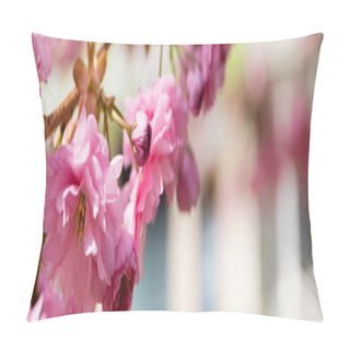 Personality  Macro Photo Of Blooming Pink Flowers On Branch Of Cherry Tree, Banner Pillow Covers