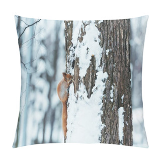 Personality  Selective Focus Of Cute Squirrel Sitting On Tree In Winter Forest Pillow Covers