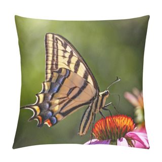 Personality  Swallowtail Butterfly Feeding On A Purple Cone Flower  Pillow Covers