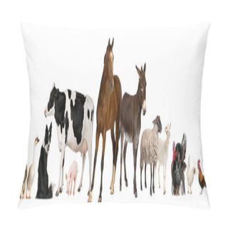 Personality  Variety Of Farm Animals In Front Of White Background Pillow Covers