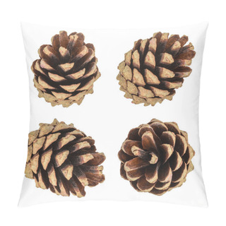 Personality  Pine Cones Isolated Pillow Covers